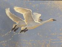 South Bound/Trumpeter Swans by Jim Morgan