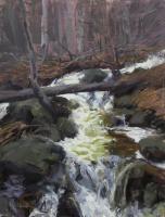 A Cascading Stream in the Rockies by Raj Chaudhuri