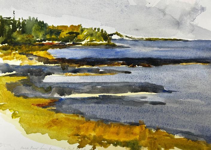 Duck Pond, Lunenburg, Nova Scotia by Timothy Standring