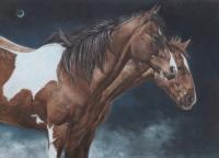 Night Horses by Karmel Timmons