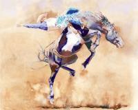 Broom Tail Bronc by Kathy Harder