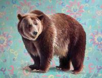 Bear-y Colorful by Lisa Gleim