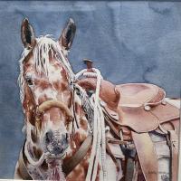 Saddled Spots by Kathy Harder