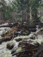 Rocky Mountain Stream by Raj Chaudhuri