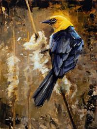 Yellow-Headed Blackbird by Jerry Markham