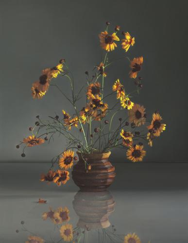Wildflowers by Megan Meinke Seiter