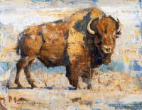 Western Bison by Jerry Markham