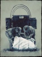 Bed Wagon by William Matthews